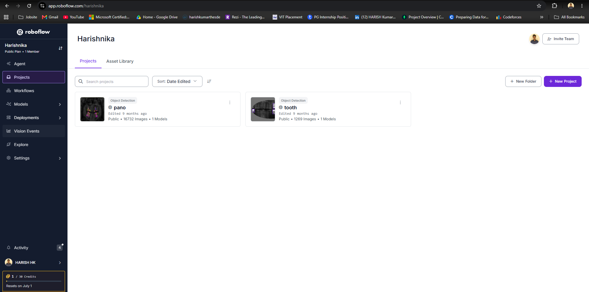 Roboflow annotated dataset preview